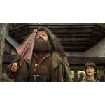 Réplique du parapluie baguette de Rubeus Hagrid - Harry Potter - NN7865