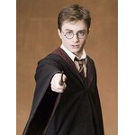 Baguette télécommande universelle Harry Potter - NN8050