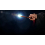 Baguette télécommande universelle Harry Potter  NN8050