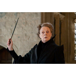 Baguette du Professeur Minerva McGonagall - NN8290