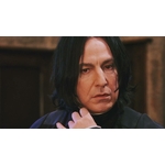 Baguette du Professeur Severus Rogue - NN8405