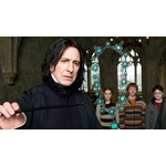 Baguette du Professeur Severus Rogue  NN8405