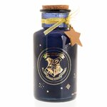 Jarre Led Blason de Poudlard bleue 2