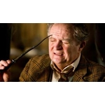 Baguette du Professeur Horace Slughorn - NN8294