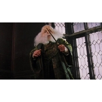 Baguette du professeur Filius Flitwick - NN8262