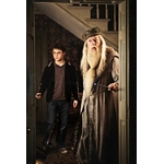 Baguette du Professeur Albus Dumbledore - Baguette de Sureau  NN8401