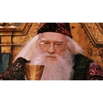 Baguette du Professeur Albus Dumbledore - Baguette de Sureau - NN8401