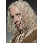 Baguette de Xenophilius Lovegood  NN8234
