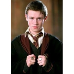 Baguette de Seamus Finnigan - NN8276