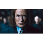 Baguette de Rufus Scrimgeour NN8242