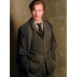Baguette de Remus Lupin NN8298