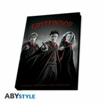HARRY POTTER - Pack Mug320ml + Porte-clés + Cahier Harry Ron Hermione ABYPCK249 (6)