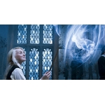 Baguette de Luna Lovegood - NN8232