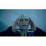 Baguette de Lord Voldemort - NN8403