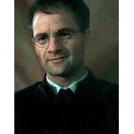 Baguette de James Potter NN8206