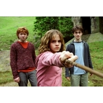 Baguette de Hermione Granger NN8411.jpeg
