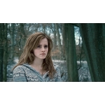 Baguette de Hermione Granger - NN8411