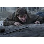 Baguette de Harry Potter NN8415