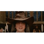 Baguette de Harry Potter NN8415_480