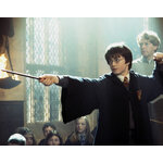 Baguette de Harry Potter - NN8415