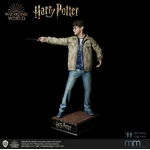 Harry-Potter_6