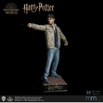 Harry-Potter_7