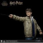 Harry-Potter_8