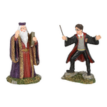 HARRY DUMBLEDORE 6002314 (1)