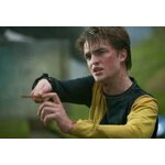 Baguette de Cédric Diggory NN8202