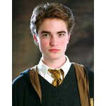 Baguette de Cédric Diggory - NN8202