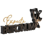 Expecto Patronum