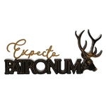 Expecto