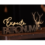 Expecto Ptro