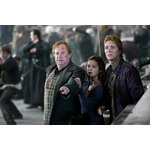 Baguette d’Arthur Weasley - NN8212