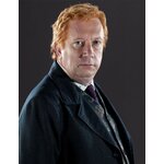 Baguette d’Arthur Weasley NN8212