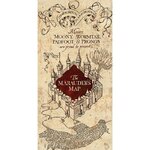 impression-sur-toile-harry-potter-100-x-50-cm