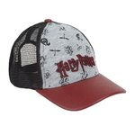 Casquette Harry Potter visière courbée  2200009012 1