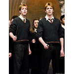 Collection des baguettes Weasley - NN7495
