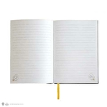 carnet hermione et ses sorts 5