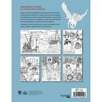 Livre de coloriage Harry Potter - Voyages magiques 4926137(2)