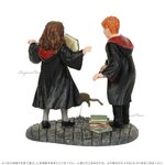 Ron et Hermione - Wingardium Leviosa 6002316(2)