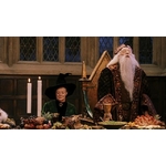 Coupe de Dumbledore NN7538