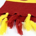 Echarpe harry potter gryffindor 1