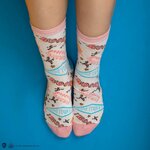 Lot de 3 paires de chaussettes Honeydukes CR1604(3)