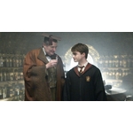 Felix Felicis - Pendentif et support NN8599