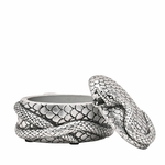 Boite Nagini Forces du mal wb317 1