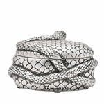 Boite Nagini Forces du mal wb317 3