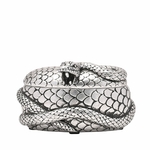 Boite Nagini Forces du mal wb317