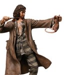Figurine Sirius Black 6009018(8)