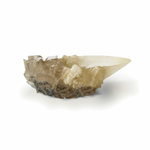 La Coupe de Cristal - Harry Potter - NN1009_480